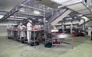 Criza agriculturii romanesti: Nu avem abatoare si spatii de depozitare Recomandari
