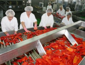 FONDURI DISPONIBILE PENTRU FINANTAREA INVESTITIILOR IN PROCESAREA PRODUSELOR AGRICOLE Stiri agricole