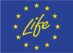 LIFE: UN SFERT DE MILIARD DE EURO PENTRU MEDIU SI POLITICI CLIMATICE IN EUROPA Comunicate