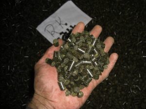 ALTERNATIVA LA IMPORTURILE DE HRANA PROTEICA PENTRU GAINILE OUATOARE Stiri agricole