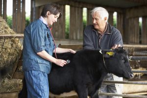 PRECIZARI ANSVSA REFERITOARE LA PROTESTUL MEDICILOR VETERINARI DE LIBERA PRACTICA DIN ROMANIA Stiri agricole