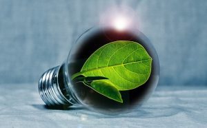 OPORTUNITATI PENTRU FERMIERII INOVATORI PRIN FINANTARE PENTRU PROIECTE PILOT Stiri agricole