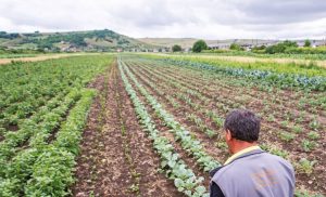 MODIFICARI LA CERERILE UNICE DE PLATA PENTRU 2019 SE POT DEPUNE PANA LA 31 MAI FARA PENALITATI Afaceri