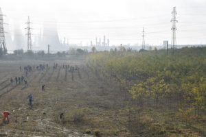 DIN 11 DECEMBRIE SE DEPUN CERERILE PENTRU AJUTORUL DE STAT PENTRU CREAREA DE SUPRAFETE IMPADURITE Legislatie
