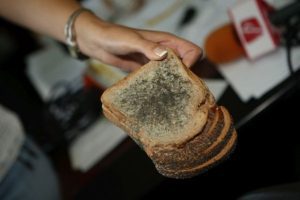 pâine