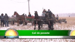 CAII - SUBIECT DE MANDRIE SI INTRECERE INTRE GOSPODARI Alimentatie-retete