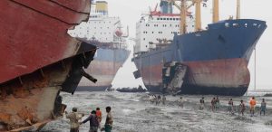 EUROPA RENUNTA LA DEMOLATORII DE NAVE ASIATICI, DIN RATIUNI ECOLOGICE SI SOCIALE Agricultura europeană