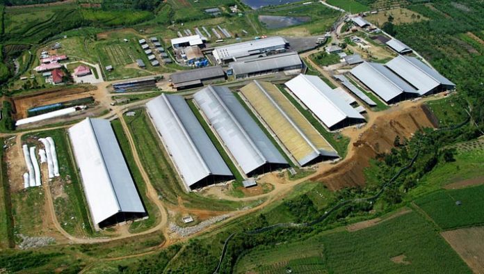 Reamintim ce clauza pot utiliza beneficiarii publici ai fondurilor PNDR 2014-2020 7 Reamintim ce clauza pot utiliza beneficiarii publici ai fondurilor PNDR 2014-2020 Reamintim ce clauza pot utiliza beneficiarii publici ai fondurilor PNDR 2014-2020 Afaceri