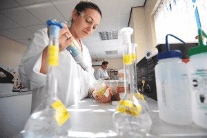 PERICOLUL DIN MIEREA CONTRAFACUTA Agricultura la raport