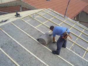 DAEA ANUNTA CA LANA VA FI FOLOSITA CA IZOLATOR TERMIC IN CONSTRUCTII Realitatea Rurala