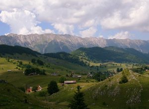 SUBVENTII IMPORTANTE SI SCUTIRI DE IMPOZITE DACA VA FACETI O GOSPODARIE LA MUNTE Realitatea Rurala