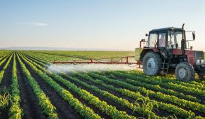 LISTA utilizarilor minore a produselor de protectie a plantelor, emisa de MADR Viata la tara