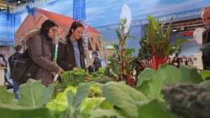IN CONTEXTUL PRESEDINTIEI EUROPENE, MADR PROMITE O PREZENTA SUBSTANTIALA LA "SAPTAMANA VERDE 2019" Evenimente