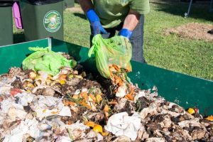 UTIL ÎN GOSPODĂRIE - CUM PUTEȚI OBȚINE UN ÎNGRĂȘĂMÂNT VALOROS DIN RESTURILE ALIMENTARE Viata la tara