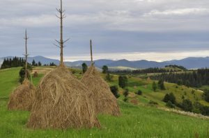 EXPRIMATI-VA OPINIILE ASUPRA PROIECTUL ORDINULUI CARE PRIVESTE DEZVOLTAREA ZONEI MONTANE Afaceri