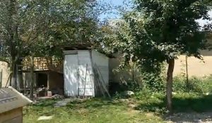 PRIMARII FAC LISTE, GARDA AMENDEAZA! S-A TERMINAT CU WC-URILE DIN CURTE SI FOSELE SEPTICE Alimentatie-retete