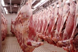 carcase