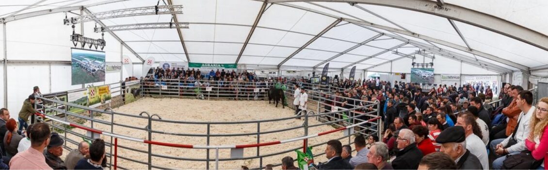 AGRARIA 2019 - EDITIE ANIVERSARA LA 25 DE ANI DE SUSTINERE CU SUCCES A AGRICULTURII ROMANESTI 6 AGRARIA 2019 - EDITIE ANIVERSARA LA 25 DE ANI DE SUSTINERE CU SUCCES A AGRICULTURII ROMANESTI AGRARIA 2019 - EDITIE ANIVERSARA LA 25 DE ANI DE SUSTINERE CU SUCCES A AGRICULTURII ROMANESTI Evenimente