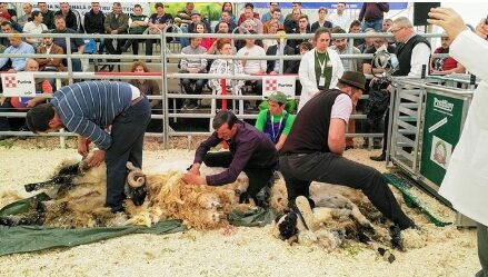 AGRARIA 2019 - EDITIE ANIVERSARA LA 25 DE ANI DE SUSTINERE CU SUCCES A AGRICULTURII ROMANESTI 9 AGRARIA 2019 - EDITIE ANIVERSARA LA 25 DE ANI DE SUSTINERE CU SUCCES A AGRICULTURII ROMANESTI AGRARIA 2019 - EDITIE ANIVERSARA LA 25 DE ANI DE SUSTINERE CU SUCCES A AGRICULTURII ROMANESTI Evenimente