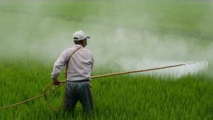 DELEGATIA ANF PARTICIPA LA ROMA LA DEZBATERI ALE COMISIEI PENTRU MASURI FITOSANITARE Alimentatie-retete