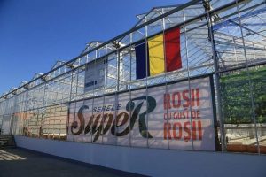 MODEL DE REUSITA IN AFACERI - ROSIILE MICI ADUC PROFITUL CEL MAI MARE Afaceri