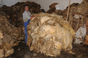 fabrică de procesare a lânii