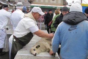 LA ORADEA, IN PIATA IOSIA, SE GASESC MIEI PENTRU TOATE BUZUNARELE Agricultura europeană
