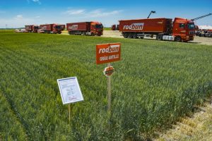 O FIRMA ROMANEASCA DIN SECTORUL AGRICOL TINE PIEPT CONCURENTEI MULTINATIONALE Comunicate