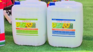 AMEROPA GRAINS, UN SPRIJIN REAL SI ONEST PENTRU FERMIERI Afaceri