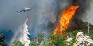 incendii forestiere