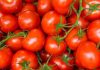 cost programul de minimis pentru legume tomata productia de tomate ajutorul de minimis pentru legume programul tomata