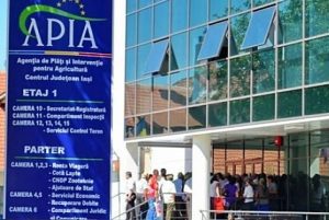 SITUATIA LA ZI PRIVIND ADEVERINTELE ELIBERATE PENTRU BENEFICIARII CAMPANIEI 2019 Afaceri