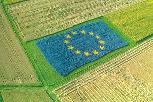ROMANIA - MULTI ANGAJATI IN AGRICULTURA, PRODUCTIVITATE REDUSA Comunicate