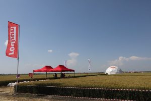 RODBUN GRUP PARIAZA PE VIITORUL HI-TECH AL AGRICULTURII Afaceri