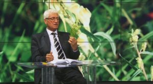 FARMACIA VERDE - Linarița, un foarte bun depurativ, eficientă în afecțiuni gastro-intestinale Comunicate