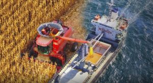INS: Comertul cu ridicata cu produse agricole si animale vii, in continua crestere Agricultura europeană