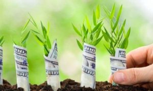 Program de 700 de mil. EUR pentru investitii in agricultura Alimentatie-retete