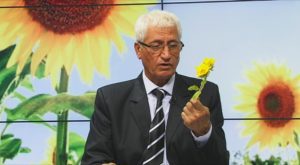 FARMACIA VERDE - Floarea soarelui si efectele benefice pentru om Agricultura europeană