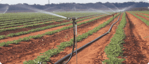 PESTE UN MILION DE HECTARE DE TEREN AGRICOL SUPLIMENTEAZA PLANUL NATIONAL DE IRIGARE Cercetare