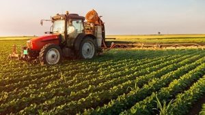 10 ani de dezvoltare economica pentru productia agricola din Romania Evenimente