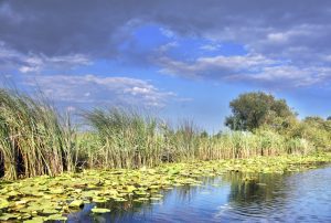 Valul de turisti au "inecat" Delta Dunarii Comunicate