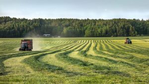 Aplicatii IT eficiente pentru agricultori: ministatie meteo si capcane pentru daunatori Recomandari