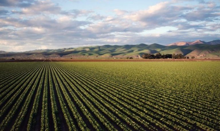 anm culturi agricole