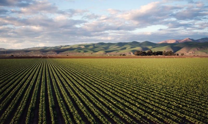 anm culturi agricole