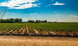 Agricultura viitorului, in era software Recomandari