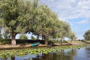 Delta Dunarii-Crisan asteapta turisti din toata tara. Vei participa si tu? Comunicate