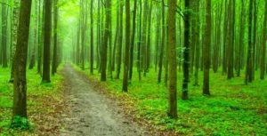 Anunt APIA pentru fermieri! Depuneti cererile pentru subventii suplimentare Stiri agricole