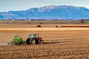 Fermieri, iata lucrarile agricole pe care le aveti de facut in luna octombrie Legislatie