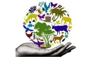 Sub egida FAO, s-a infiintat Coalitia pentru Biodiversitatea Agriculturii Legislatie