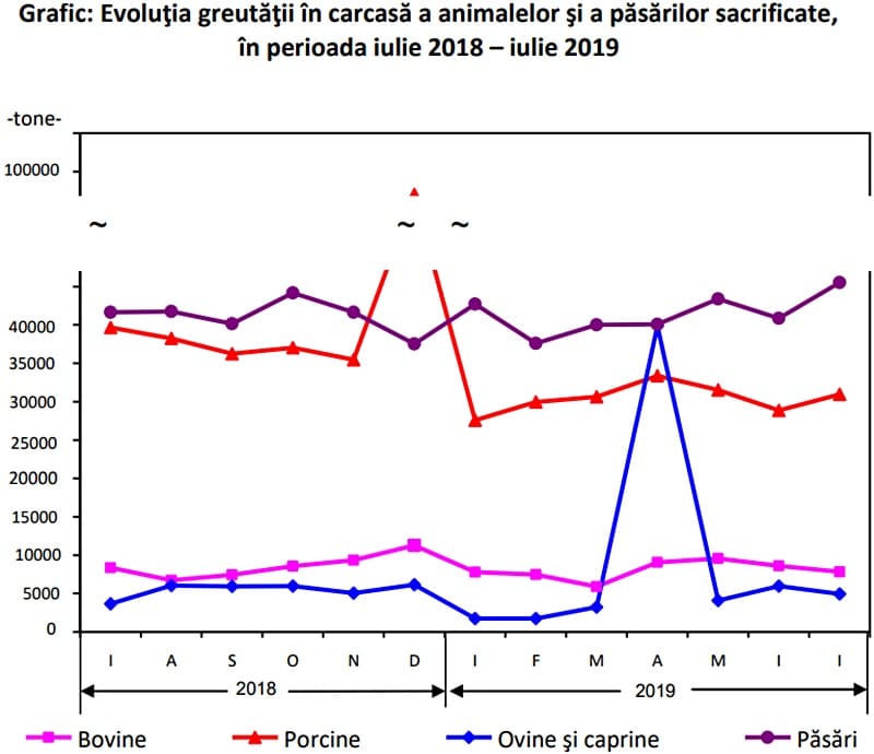 Sacrificarile si productia de carne au suportat modificari consistente 3 Sacrificarile si productia de carne au suportat modificari consistente Sacrificarile si productia de carne au suportat modificari consistente Comunicate